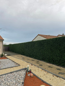 Photo de galerie - Taille de haie