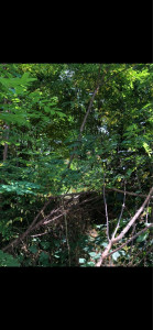 Photo de galerie - Avant 
