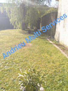 Photo de galerie - Entretien jardin
