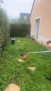Photo de galerie - Avant entretiens pelouse , haie