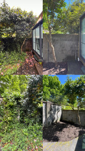 Photo de galerie - Rafraîchissement d’un petit jardin 