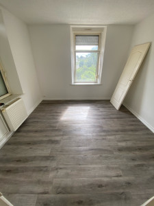 Photo de galerie - Parquet/peinture