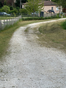 Photo de galerie - Débroussaillage 