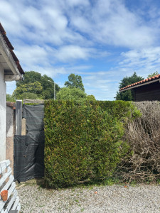 Photo de galerie - Entretien annuel
