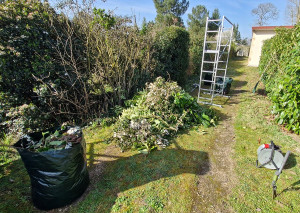 Photo de galerie - Taille de haie