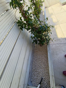 Photo de galerie - Jardinier