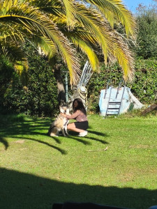 Photo de galerie - Pet sitting