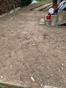 Photo de galerie - Elagage et coupe d'arbres