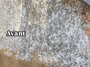 Photo de galerie - Nettoyeur haute pression / Karcher