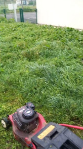 Photo de galerie - Paysagiste - Aménagement du jardin