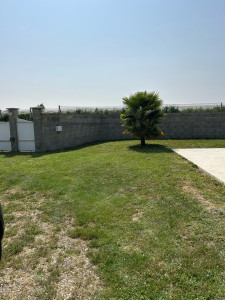 Photo de galerie - .