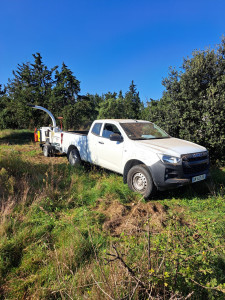 Photo de galerie - Elagage et coupe d'arbres