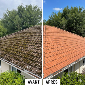 Photo de galerie - Demoussage,traitement hydrofuge,pose de résine colorée hydrofuge à partir de 8€le m2