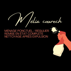 Photo de galerie - Nous proposons également des prestations de nettoyage classiques et spécifiques en dehors de la conciergerie : ménage régulier, ménage fin de chantier, nettoyage après expulsion, et remise en état de logements très sales. Avant/Après déménagement