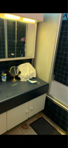 Photo de galerie - Salle de bain avant 