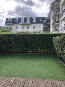 Photo de galerie - Taille de haies Et d’arbustes