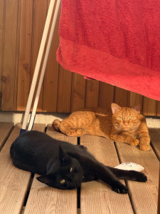 Photo de galerie - <3