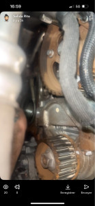 Photo de galerie - Distribution 