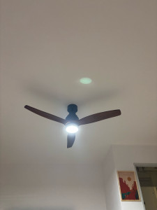 Photo de galerie - Installation d’un ventilateur de plafond avec éclairage intégré