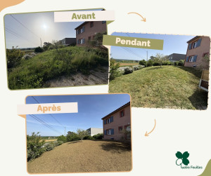 Photo de galerie - Paysagiste - Aménagement du jardin