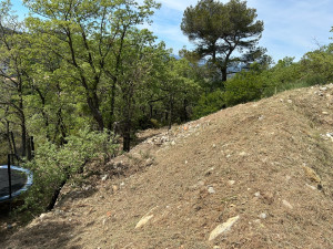 Photo de galerie - Débroussaillage forêt 