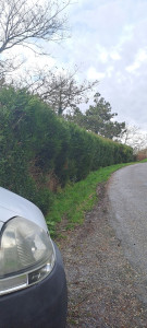 Photo de galerie - Avant 