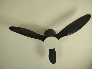 Photo de galerie - Ventilateur plafond 