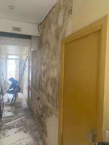 Photo de galerie - Artisan tout corps d'état - Rénovation