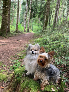 Photo de galerie - Punky et baya 