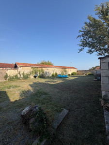 Photo de galerie - Entretien jardin 