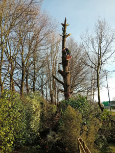 Photo de galerie - .