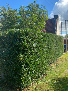 Photo de galerie - Après 