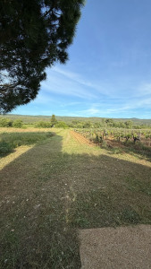 Photo de galerie - Débroussaillage d’un chemin.