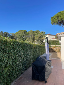 Photo de galerie - Taille de haie