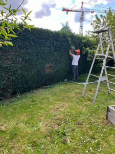 Photo de galerie - Taille de haies et d'arbustes