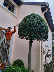 Photo de galerie - Paysagiste - Aménagement du jardin