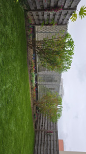 Photo de galerie - .