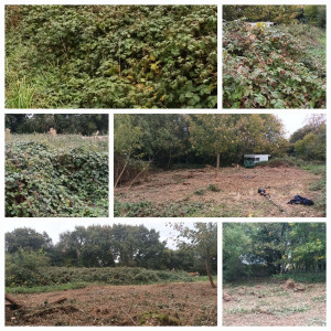 Photo de galerie - Je débroussaille  même les grands  terrains..merci 