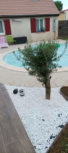 Photo de galerie - Aménagement du jardin en harmonie avec une sublime piscine.