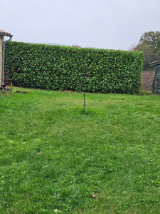 Photo de galerie - Taille