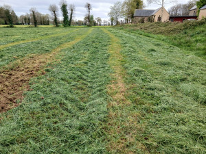 Photo de galerie - Avant 