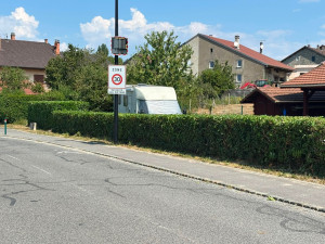 Photo de galerie - Taille Laurel 3 côtés 