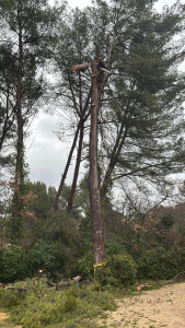 Photo de galerie - Angle de coupe et charnière respecter, ça tombe dans la bonne direction malgré le dénivelé négatif. 