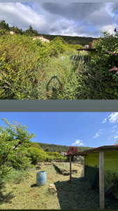 Photo de galerie - Entretien d’un terrain de 2000 m²