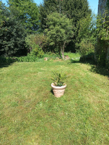 Photo de galerie - Après 