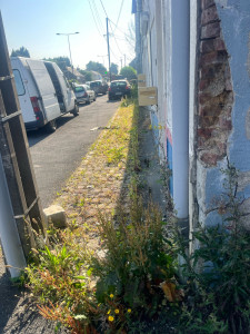 Photo de galerie - Désherbage 