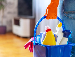 Photo de galerie -  Nettoyage complet du logement : dépoussiérage, aspiration, lavage des sols et nettoyage des surfaces. 
