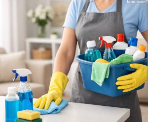 Photo de galerie - Entretien du domicile 