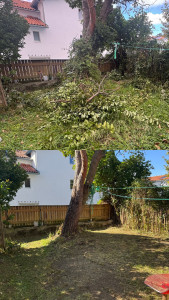 Photo de galerie - Tonte de pelouse - Débroussaillage