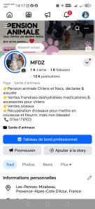Photo de galerie - Si vous cherchez une pension familiale pour vos animaux déclarée et assurée